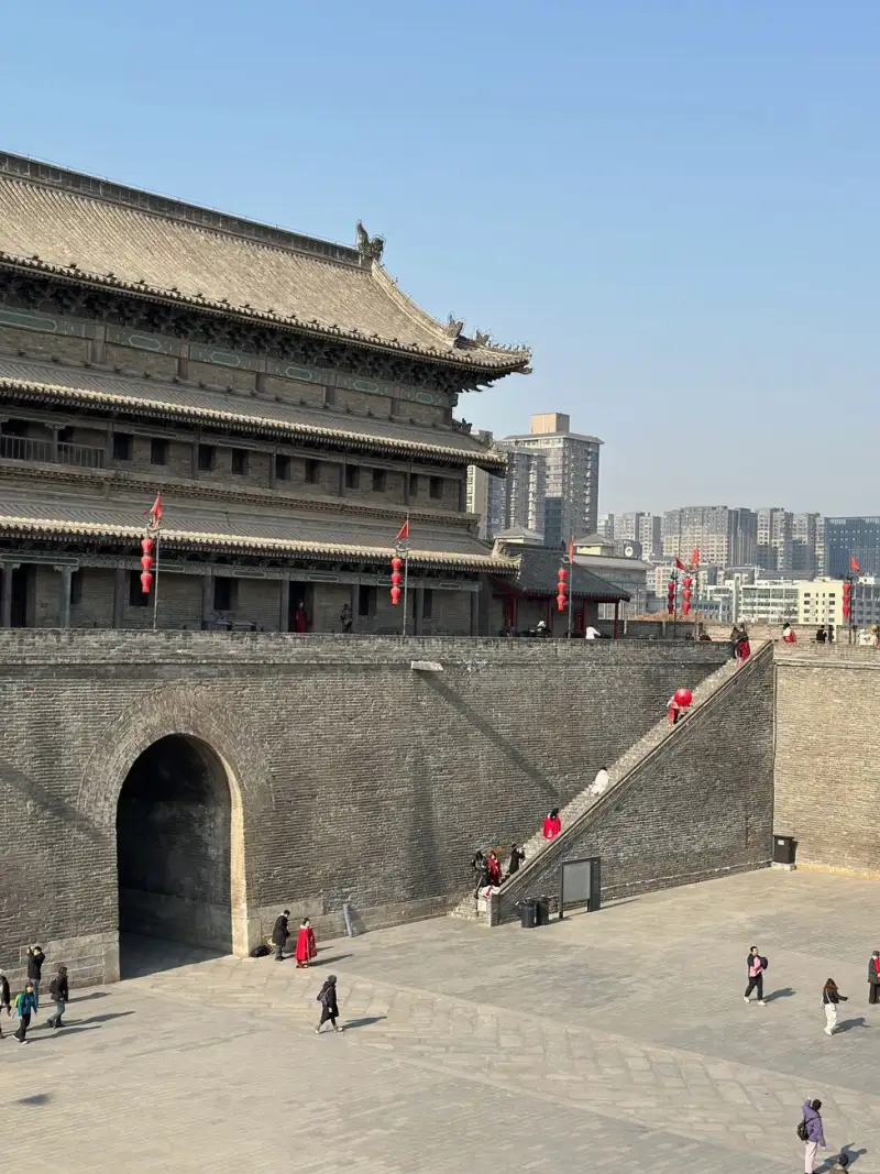 施之至IDC运维服务对比：自建机房与托管机房的成本与稳定性分析